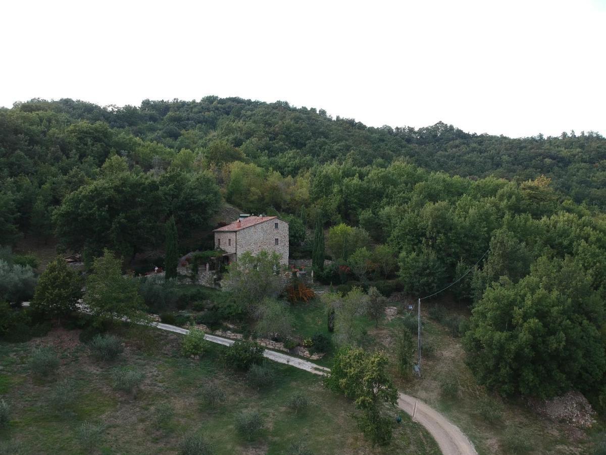 Podere Piandicava カステルヌオーヴォ・ディ・ヴァル・ディ・チェーチナ エクステリア 写真