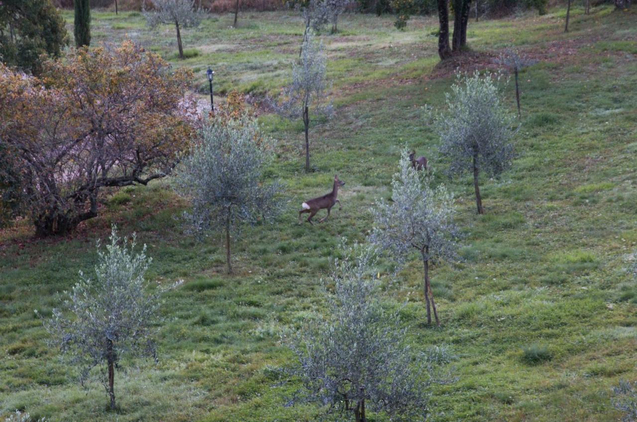 Podere Piandicava カステルヌオーヴォ・ディ・ヴァル・ディ・チェーチナ エクステリア 写真