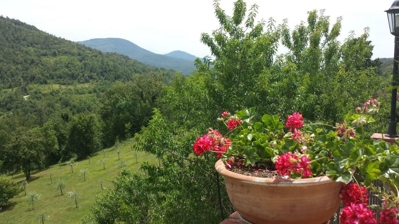 Podere Piandicava カステルヌオーヴォ・ディ・ヴァル・ディ・チェーチナ エクステリア 写真